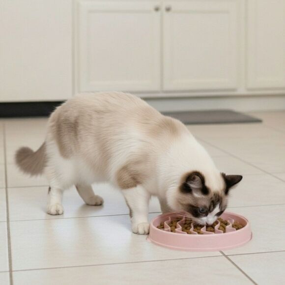 Outward Hound Slo Bowl SMALL Pink Cat Slow Feeder Puzzle Bowl Ragdoll - Picture 3 of 8